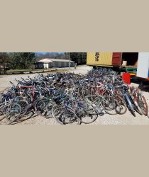 Vélos pour le conteneur